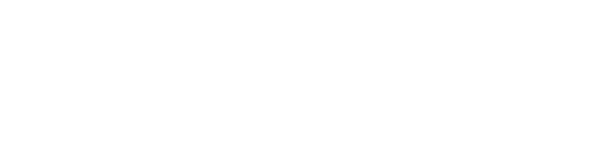 NTechAI Logo Main Bold Full White